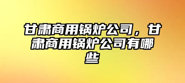 甘肅商用鍋爐公司，甘肅商用鍋爐公司有哪些