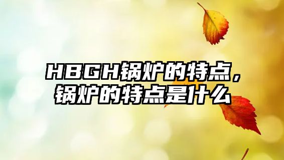 HBGH鍋爐的特點(diǎn)，鍋爐的特點(diǎn)是什么