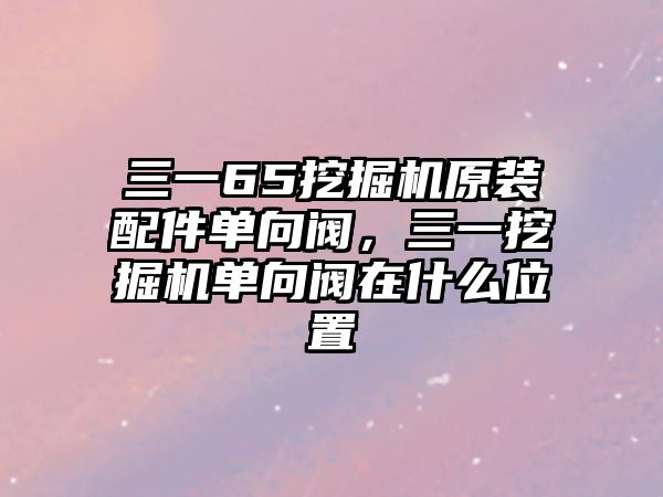 三一65挖掘機(jī)原裝配件單向閥，三一挖掘機(jī)單向閥在什么位置