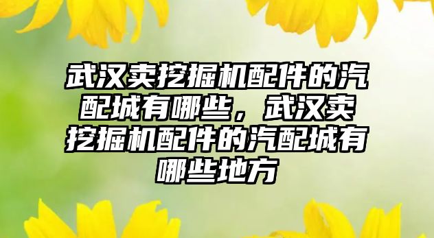 武漢賣挖掘機配件的汽配城有哪些，武漢賣挖掘機配件的汽配城有哪些地方