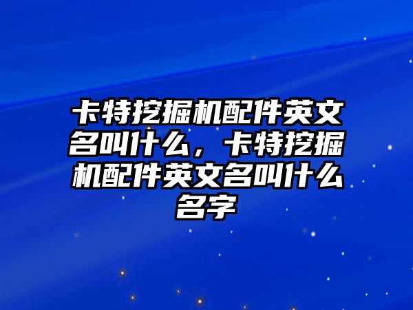 卡特挖掘機配件英文名叫什么，卡特挖掘機配件英文名叫什么名字