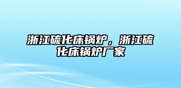 浙江硫化床鍋爐，浙江硫化床鍋爐廠家