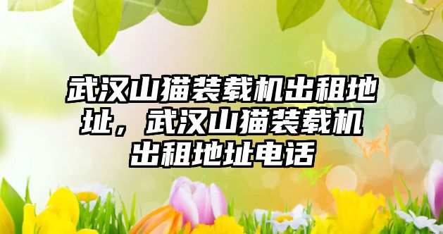 武漢山貓裝載機出租地址，武漢山貓裝載機出租地址電話