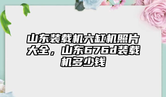 山東裝載機六缸機照片大全，山東676d裝載機多少錢