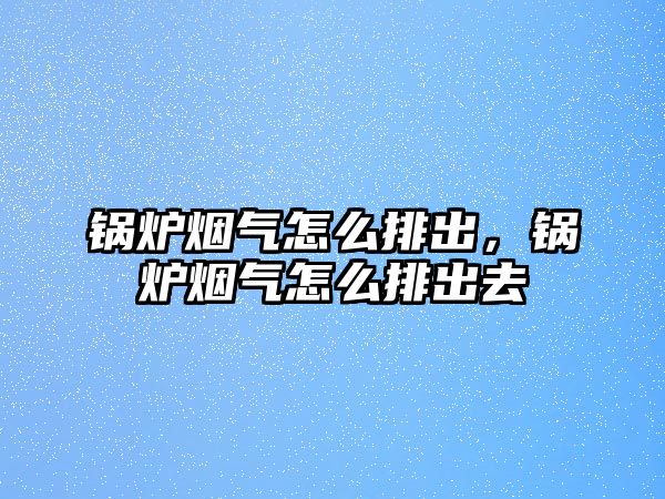 鍋爐煙氣怎么排出，鍋爐煙氣怎么排出去