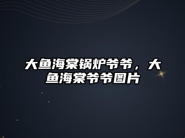 大魚海棠鍋爐爺爺，大魚海棠爺爺圖片