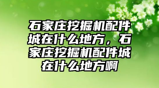 石家莊挖掘機(jī)配件城在什么地方，石家莊挖掘機(jī)配件城在什么地方啊