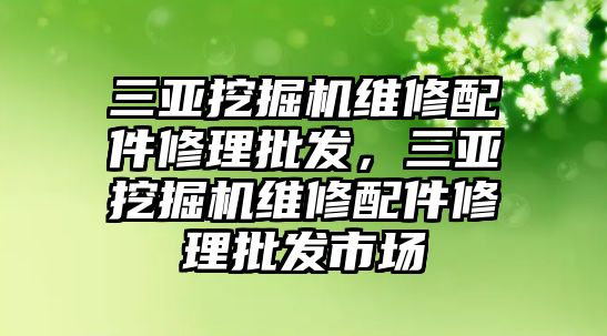 三亞挖掘機(jī)維修配件修理批發(fā)，三亞挖掘機(jī)維修配件修理批發(fā)市場(chǎng)