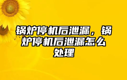 鍋爐停機后泄漏，鍋爐停機后泄漏怎么處理