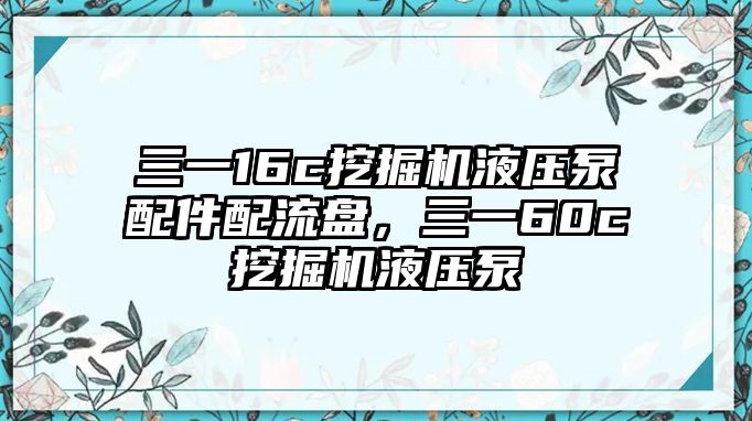 三一16c挖掘機液壓泵配件配流盤，三一60c挖掘機液壓泵