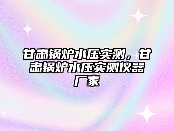 甘肅鍋爐水壓實測，甘肅鍋爐水壓實測儀器廠家