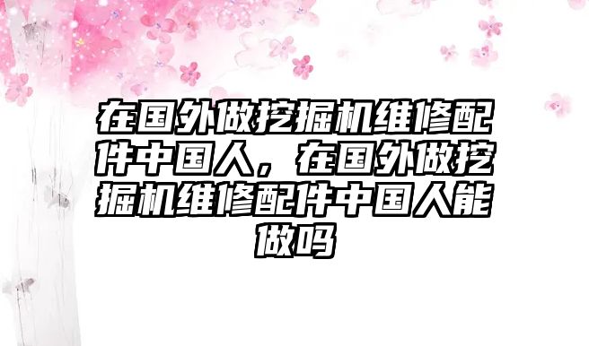 在國(guó)外做挖掘機(jī)維修配件中國(guó)人，在國(guó)外做挖掘機(jī)維修配件中國(guó)人能做嗎