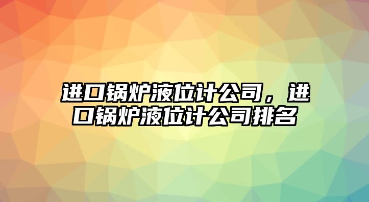 進(jìn)口鍋爐液位計(jì)公司，進(jìn)口鍋爐液位計(jì)公司排名