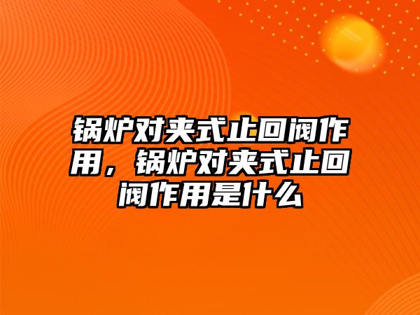 鍋爐對夾式止回閥作用，鍋爐對夾式止回閥作用是什么