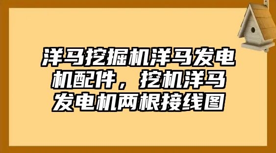 洋馬挖掘機洋馬發(fā)電機配件，挖機洋馬發(fā)電機兩根接線圖