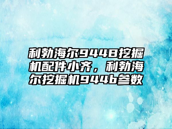 利勃海爾944B挖掘機(jī)配件小齊，利勃海爾挖掘機(jī)944b參數(shù)