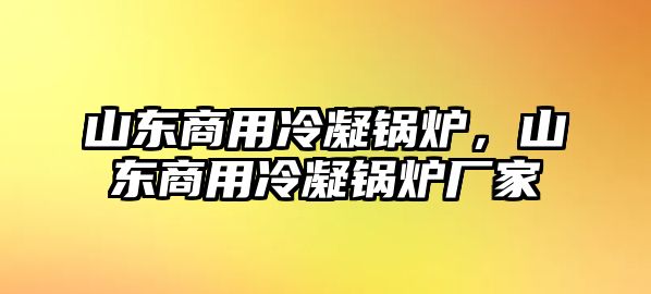 山東商用冷凝鍋爐，山東商用冷凝鍋爐廠家