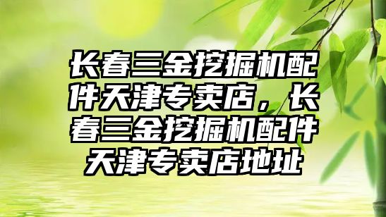 長春三金挖掘機(jī)配件天津?qū)Ｙu店，長春三金挖掘機(jī)配件天津?qū)Ｙu店地址