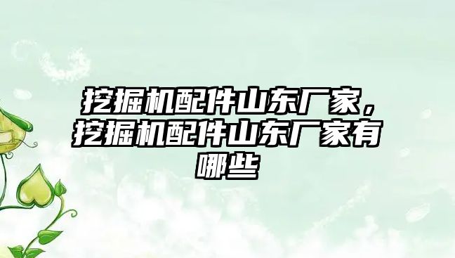 挖掘機配件山東廠家，挖掘機配件山東廠家有哪些