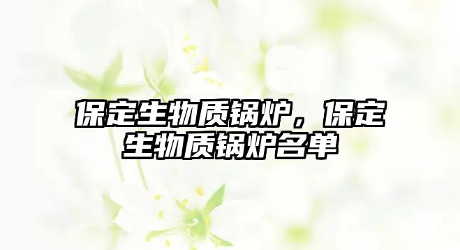 保定生物質(zhì)鍋爐，保定生物質(zhì)鍋爐名單