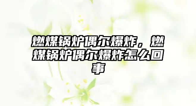 燃煤鍋爐偶爾爆炸，燃煤鍋爐偶爾爆炸怎么回事