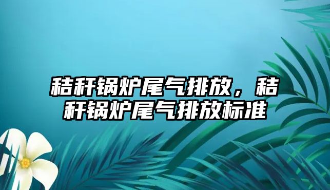 秸稈鍋爐尾氣排放，秸稈鍋爐尾氣排放標(biāo)準(zhǔn)