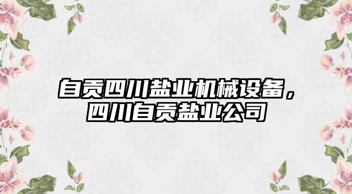 自貢四川鹽業(yè)機械設(shè)備，四川自貢鹽業(yè)公司