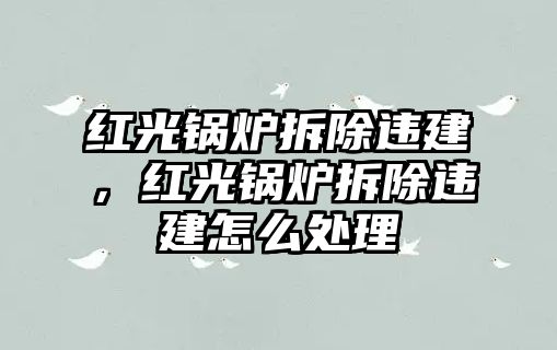 紅光鍋爐拆除違建，紅光鍋爐拆除違建怎么處理