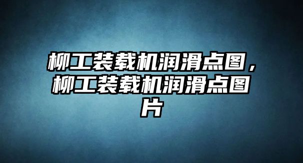 柳工裝載機(jī)潤滑點(diǎn)圖，柳工裝載機(jī)潤滑點(diǎn)圖片