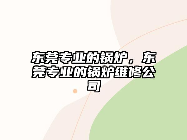 東莞專業(yè)的鍋爐，東莞專業(yè)的鍋爐維修公司