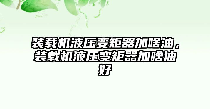 裝載機液壓變矩器加啥油，裝載機液壓變矩器加啥油好