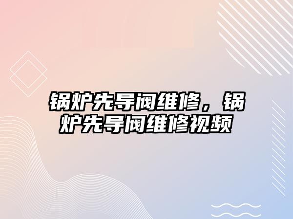 鍋爐先導(dǎo)閥維修，鍋爐先導(dǎo)閥維修視頻