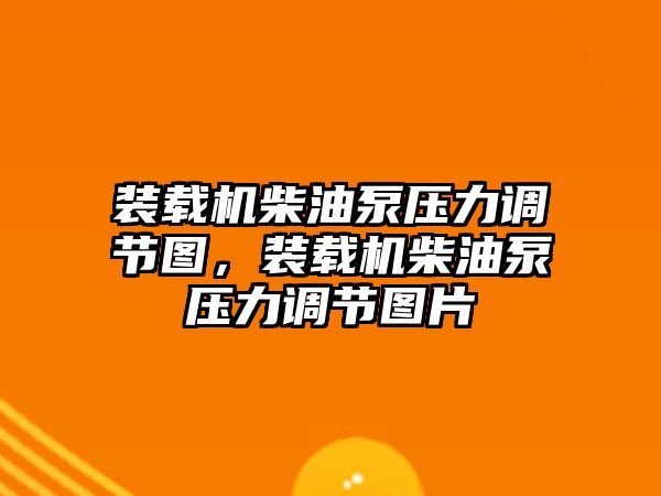 裝載機柴油泵壓力調節(jié)圖，裝載機柴油泵壓力調節(jié)圖片