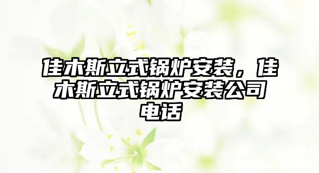 佳木斯立式鍋爐安裝，佳木斯立式鍋爐安裝公司電話