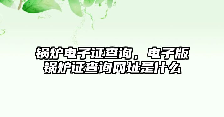 鍋爐電子證查詢，電子版鍋爐證查詢網(wǎng)址是什么