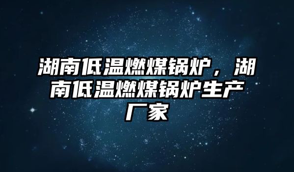 湖南低溫燃煤鍋爐，湖南低溫燃煤鍋爐生產(chǎn)廠家