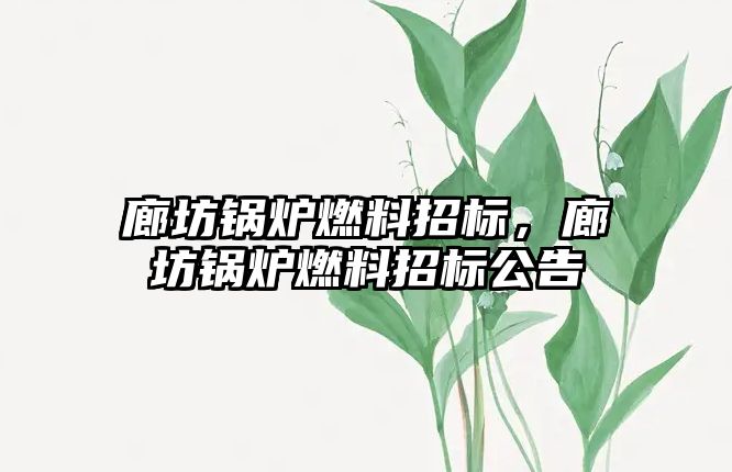 廊坊鍋爐燃料招標，廊坊鍋爐燃料招標公告