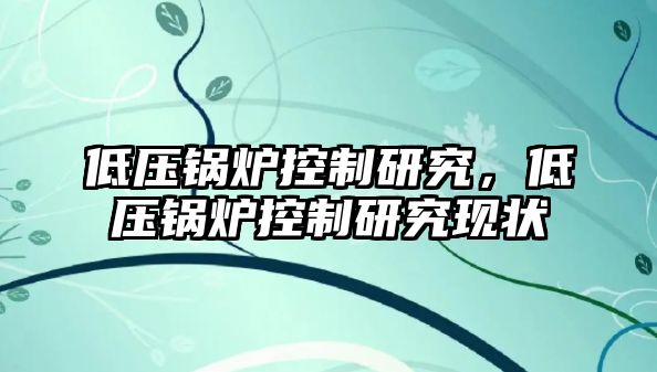 低壓鍋爐控制研究，低壓鍋爐控制研究現狀