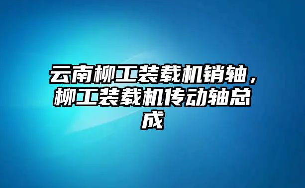 云南柳工裝載機銷軸，柳工裝載機傳動軸總成