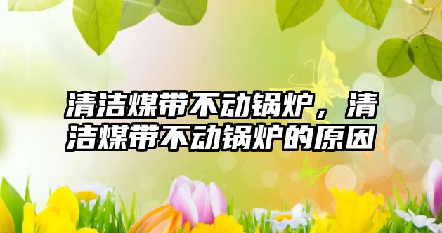 清潔煤帶不動(dòng)鍋爐，清潔煤帶不動(dòng)鍋爐的原因