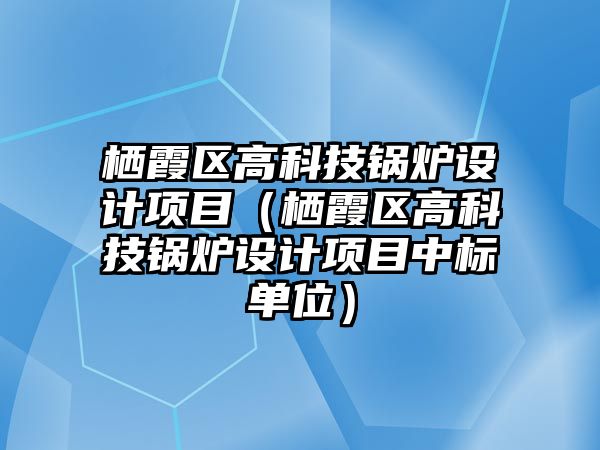 棲霞區(qū)高科技鍋爐設(shè)計項目（棲霞區(qū)高科技鍋爐設(shè)計項目中標單位）